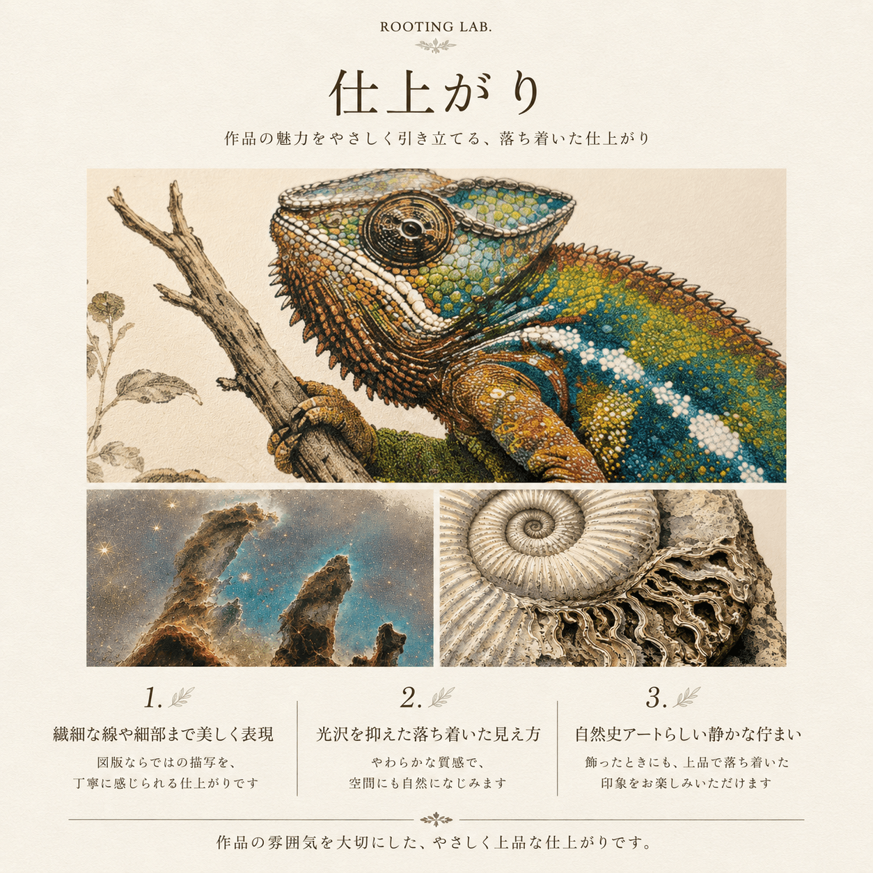 アンモナイト｜A4ポスター｜化石古生物の図鑑風イラスト 自然史アート | 4枚目