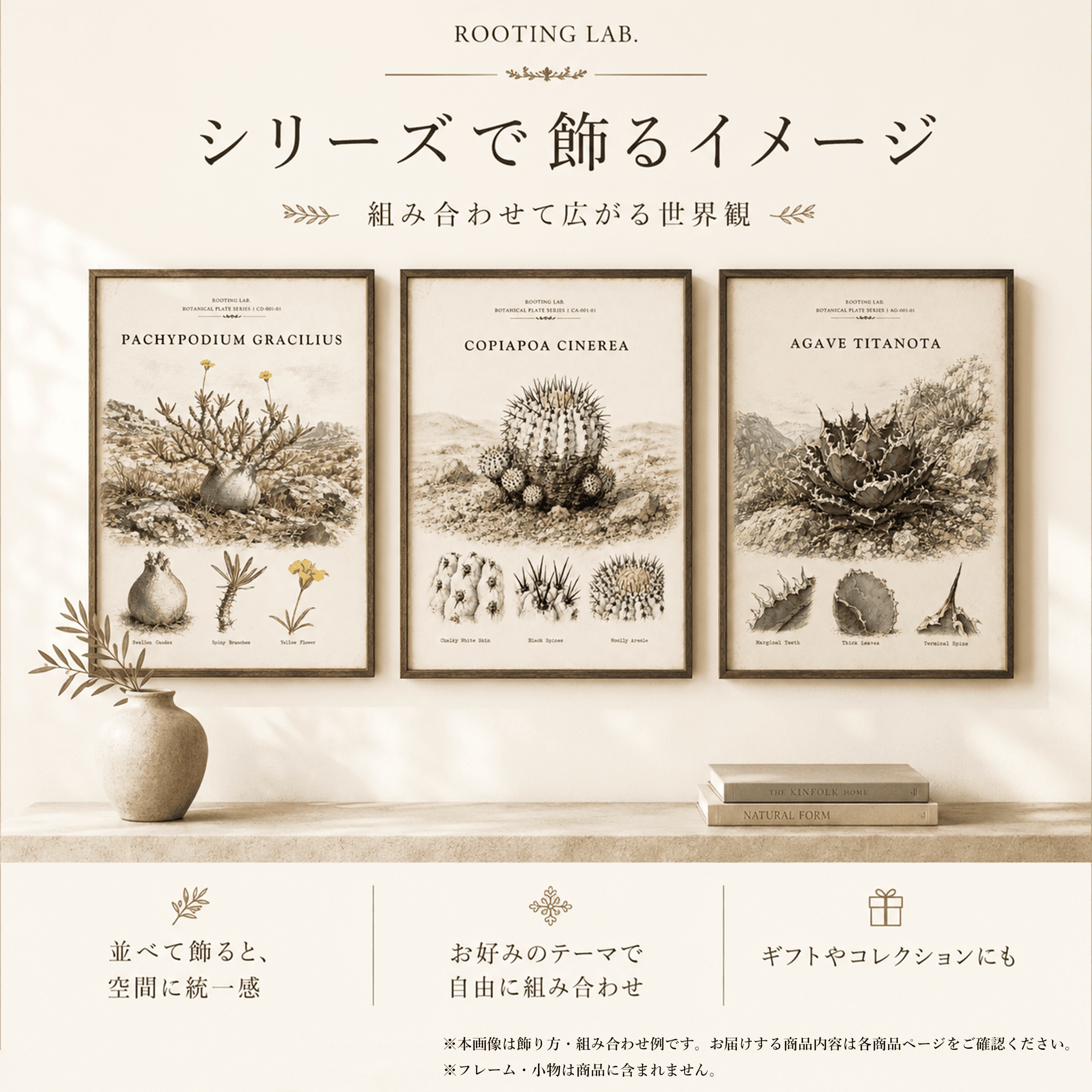 アンモナイト｜A4ポスター｜化石古生物の図鑑風イラスト 自然史アート | 7枚目
