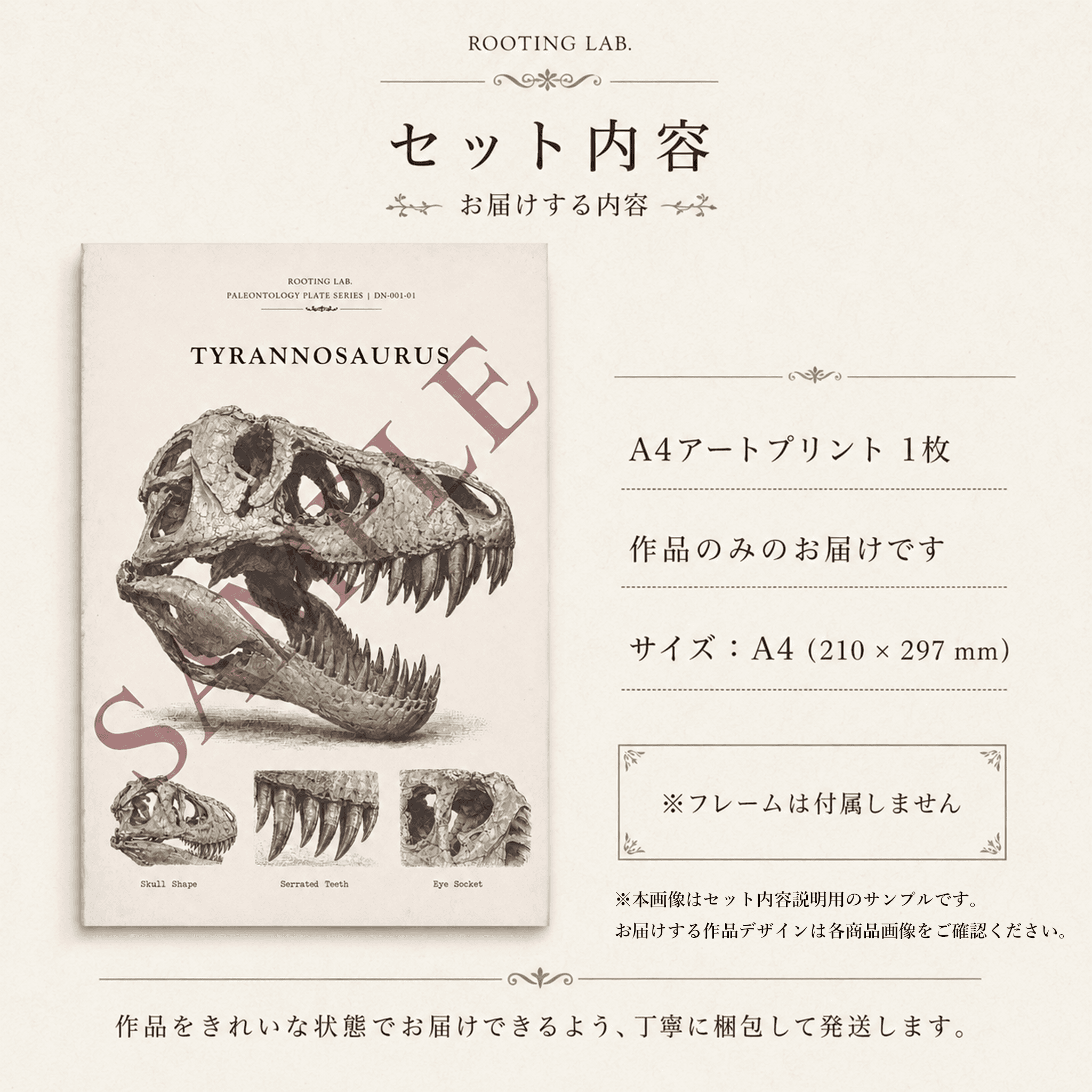 ロウニンアジ ジャイアントトレバリー GT|A4ポスター|魚類の図鑑風イラスト 自然史アート | 5枚目