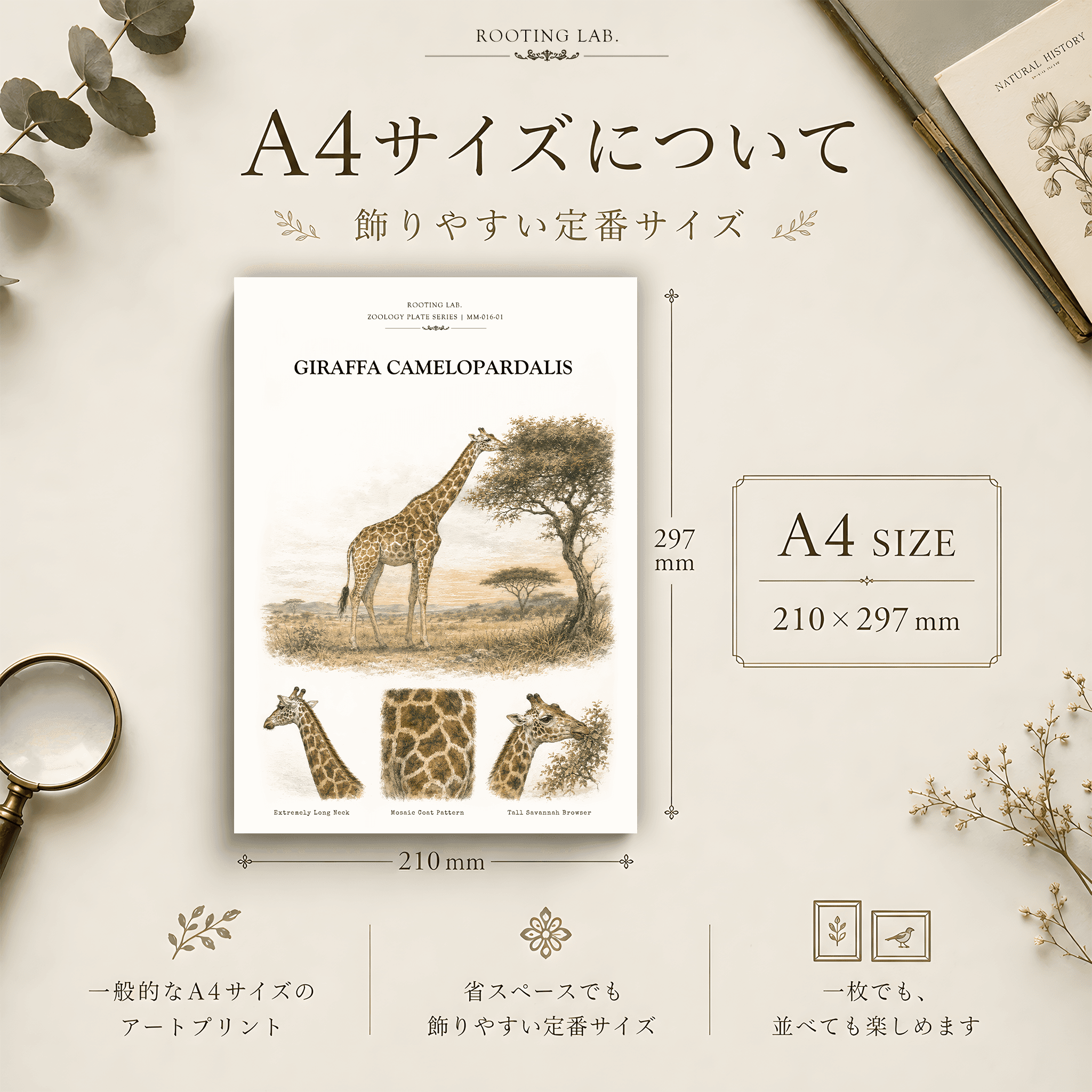 キリン|A4ポスター|動物図鑑風イラスト 自然史アート | 2枚目